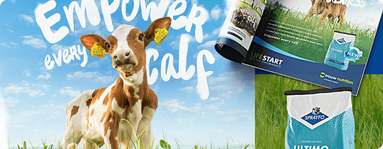 Brand Identity Design